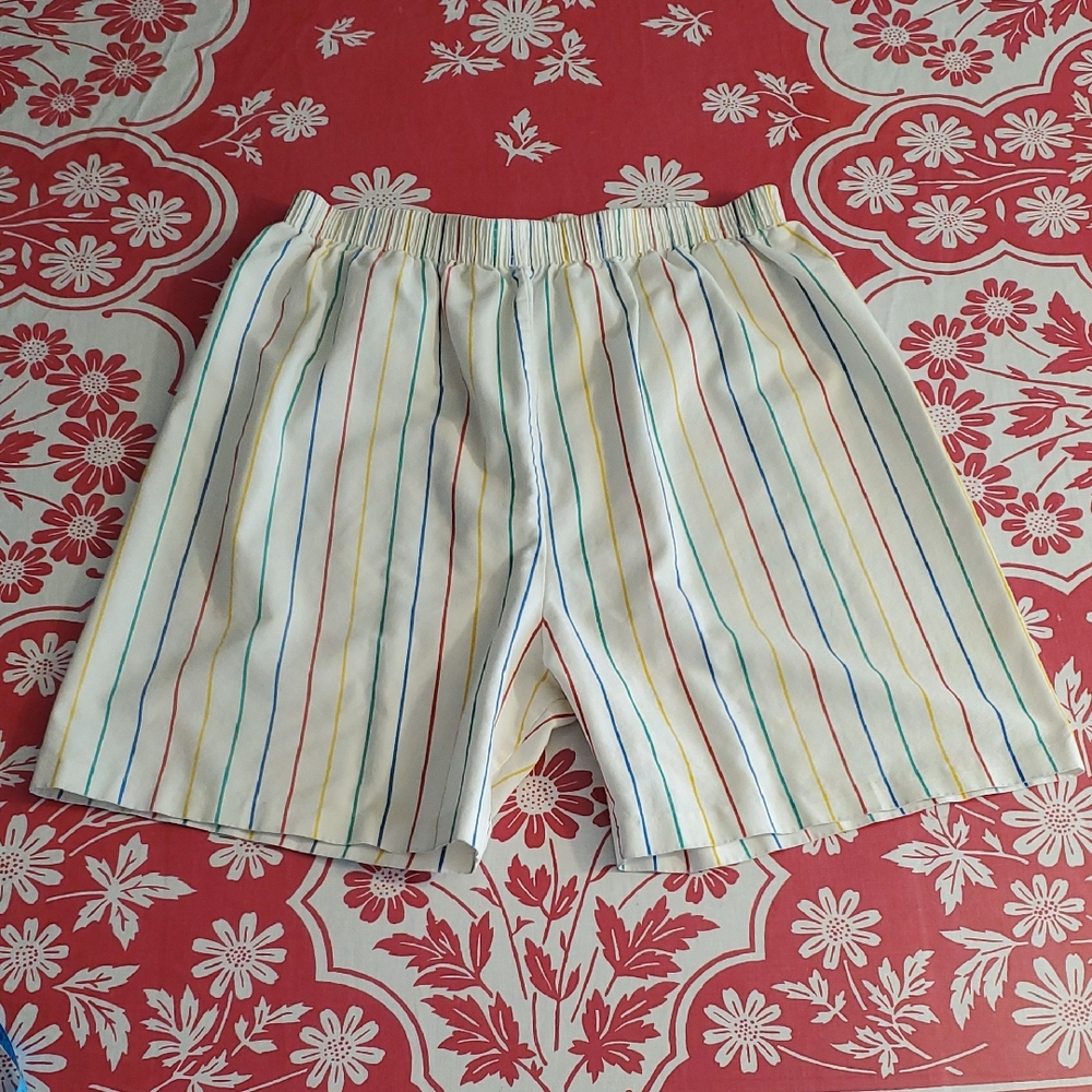 3 /$15 Vintage Village Fair Rainbow Stripe Shorts